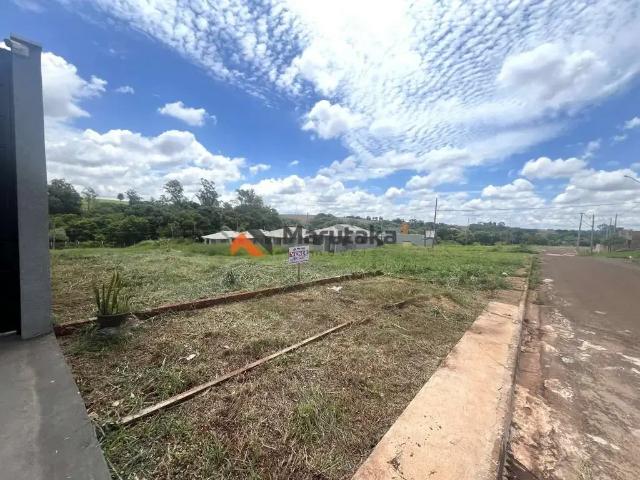 Terreno venda em Região Geográfica Imediata de Maringá, Maringá