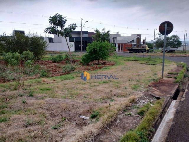 Terreno venda em Região Geográfica Imediata de Maringá, Maringá