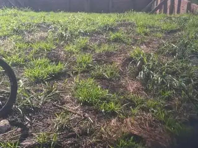 Terreno venda em Região Geográfica Imediata de Maringá, Maringá