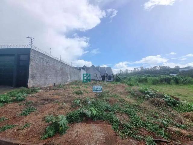 Terreno venda em Região Geográfica Imediata de Maringá, Maringá