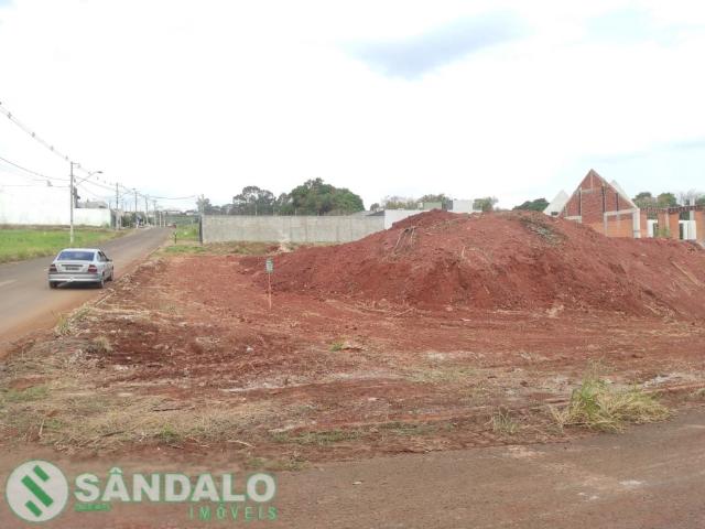 Terreno venda em Região Geográfica Imediata de Maringá, Maringá
