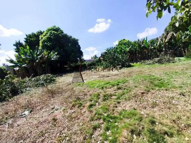 Terreno venda em Região Geográfica Imediata de Maringá, Maringá