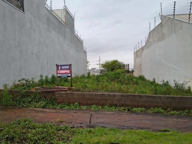 Terreno venda em Região Geográfica Imediata de Maringá, Maringá