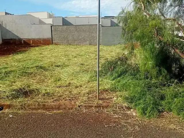 Terreno venda em Região Geográfica Imediata de Maringá, Maringá