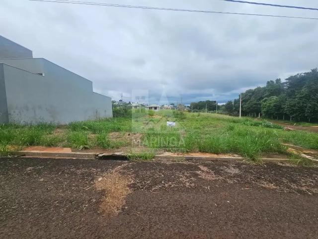 Terreno venda em Região Geográfica Imediata de Maringá, Maringá