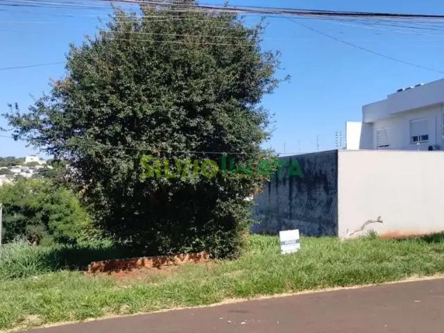 Terreno venda em Região Imediata de São José do Rio Preto, Novo Horizonte