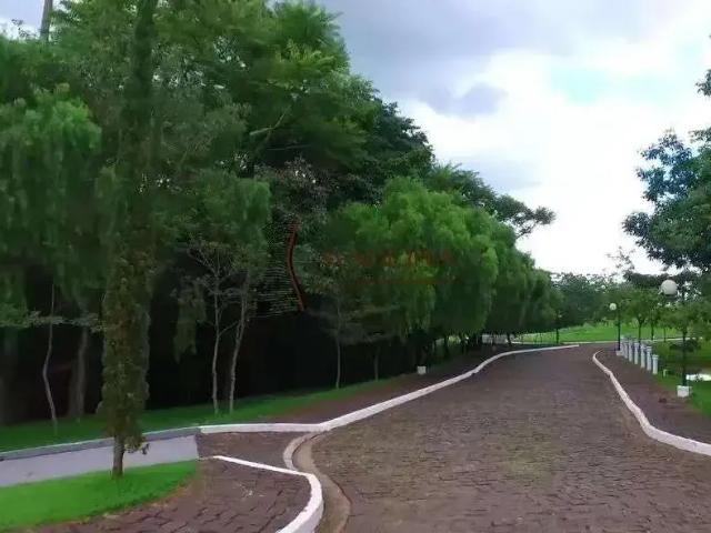 Terreno venda em Região Geográfica Imediata de Maringá, Maringá