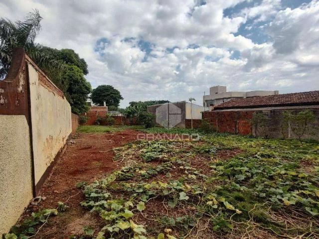 Terreno venda em Região Geográfica Imediata de Maringá, Maringá