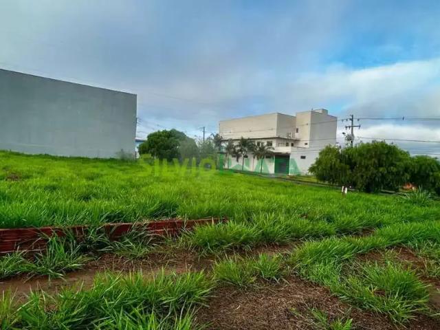 Terreno venda em Região Geográfica Imediata de Maringá, Maringá