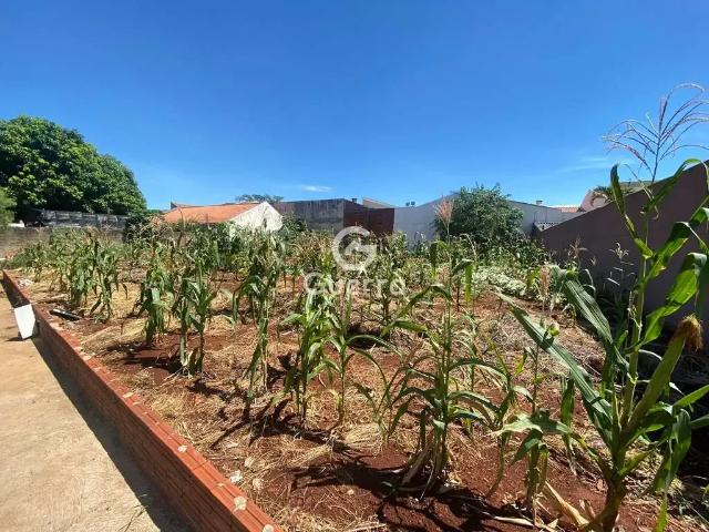 Terreno venda em Região Geográfica Imediata de Maringá, Maringá