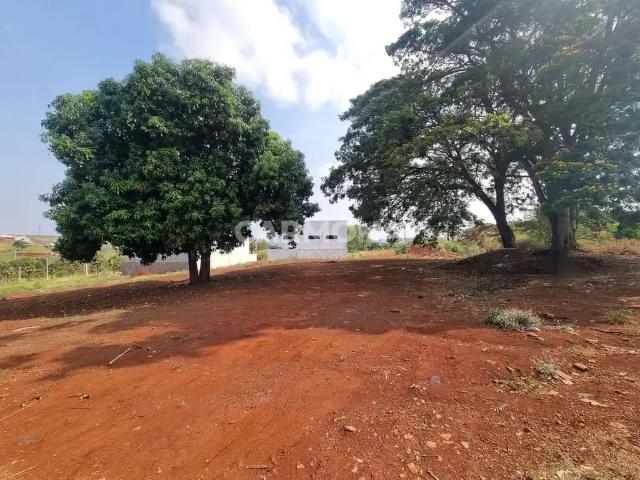 Terreno venda em Região Geográfica Imediata de Maringá, Maringá