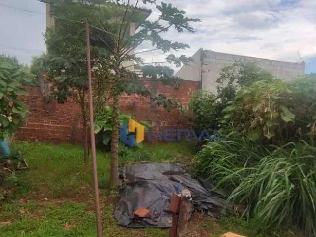 Terreno venda em Região Geográfica Imediata de Maringá, Maringá