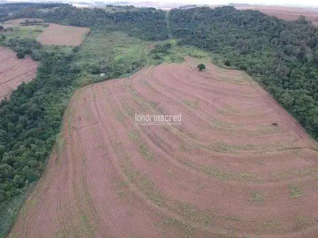 Terreno venda em Região Geográfica Imediata de Maringá, Maringá