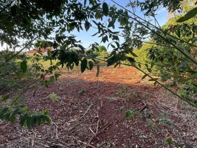 Terreno venda em Região Geográfica Imediata de Maringá, Maringá