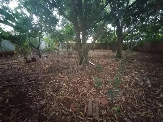Terreno venda em Região Geográfica Imediata de Maringá, Maringá