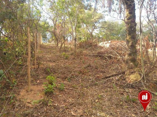 Terreno venda em Tangará, Mário Campos