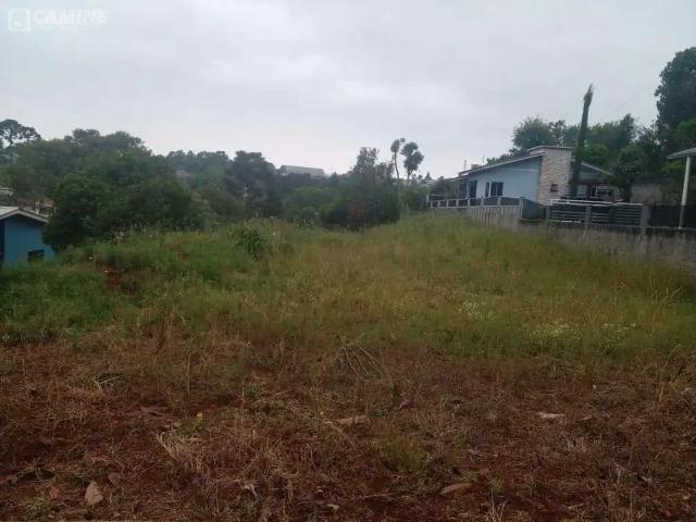 Terreno venda em Região Geográfica Imediata de Pato Branco, Mariópolis