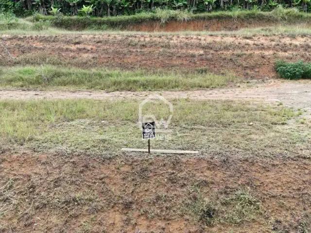 Terreno venda em Região Geográfica Imediata de Joinville, Massaranduba