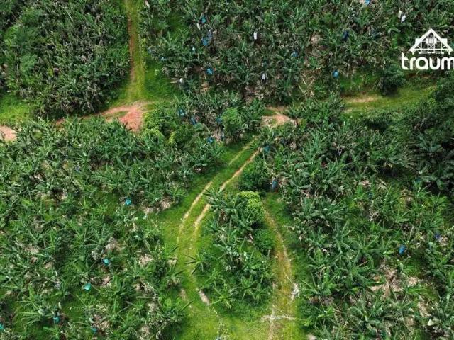 Terreno venda em Região Geográfica Imediata de Joinville, Massaranduba