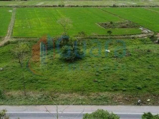 Terreno venda em Região Geográfica Imediata de Joinville, Massaranduba