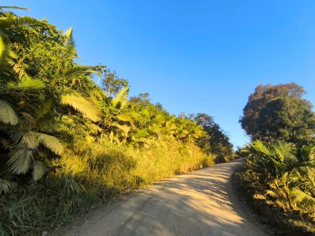 Terreno venda em Região Geográfica Imediata de Joinville, Massaranduba