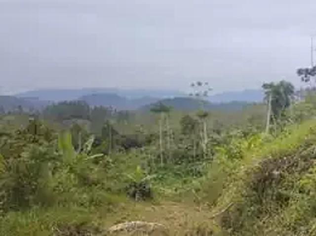 Terreno venda em Região Geográfica Imediata de Joinville, Massaranduba