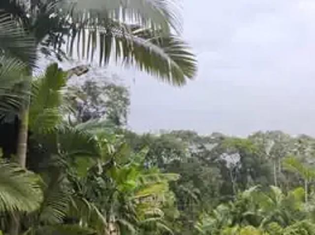 Terreno venda em Região Geográfica Imediata de Joinville, Massaranduba