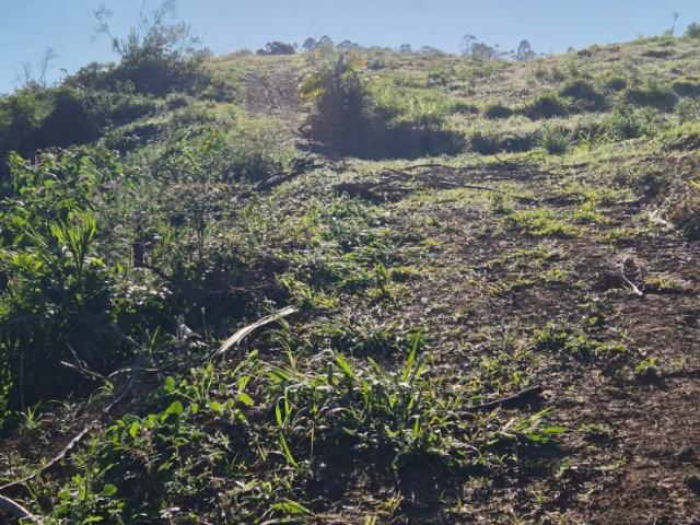 Terreno venda em Centro, Massaranduba