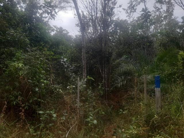 Terreno venda em Mata de São João