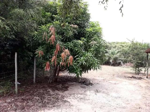 Terreno venda em Região Geográfica Imediata de Salvador, Região Metropolitana de Salvador