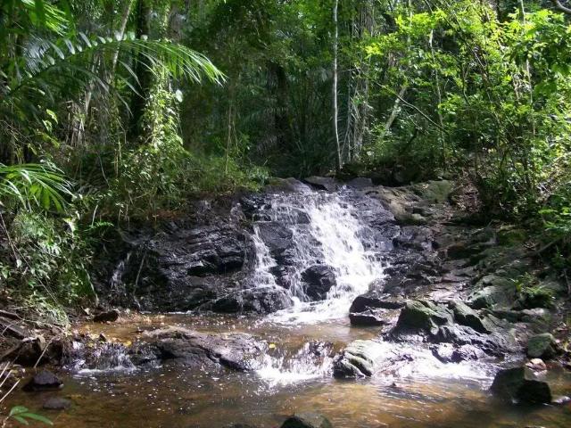 Terreno venda em Região Geográfica Imediata de Salvador, Região Metropolitana de Salvador