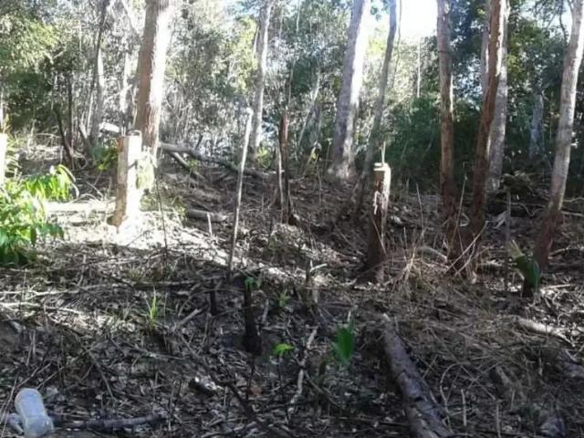 Terreno venda em Açu da Torre, Mata de São João