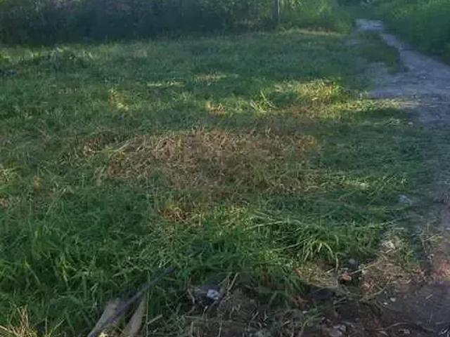Terreno venda em Região Geográfica Imediata de Paranaguá, Matinhos