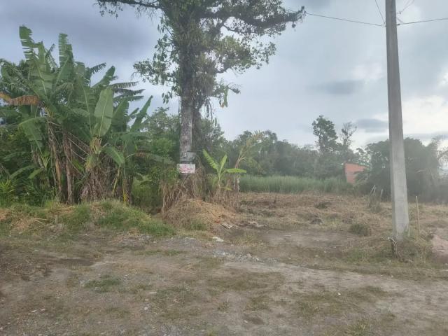 Terreno venda em Região Geográfica Imediata de Paranaguá, Matinhos