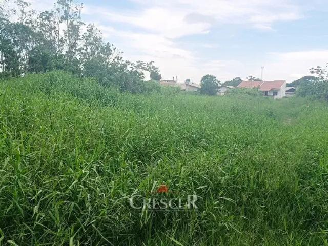 Terreno venda em Região Geográfica Imediata de Paranaguá, Matinhos