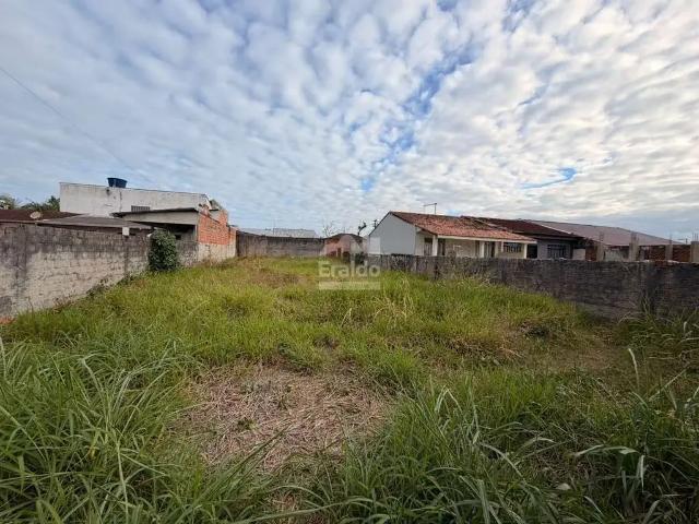 Terreno venda em Região Geográfica Imediata de Paranaguá, Matinhos
