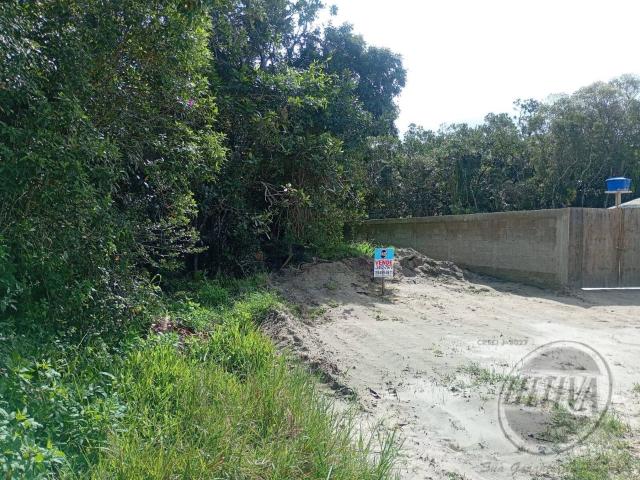 Terreno venda em Região Geográfica Imediata de Paranaguá, Matinhos
