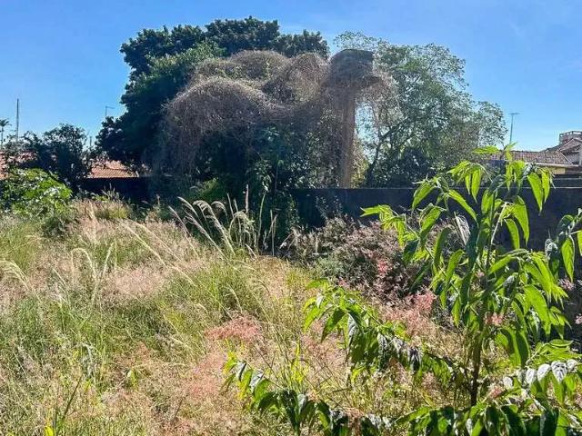 Terreno venda em Região Geográfica Imediata de Paranaguá, Matinhos