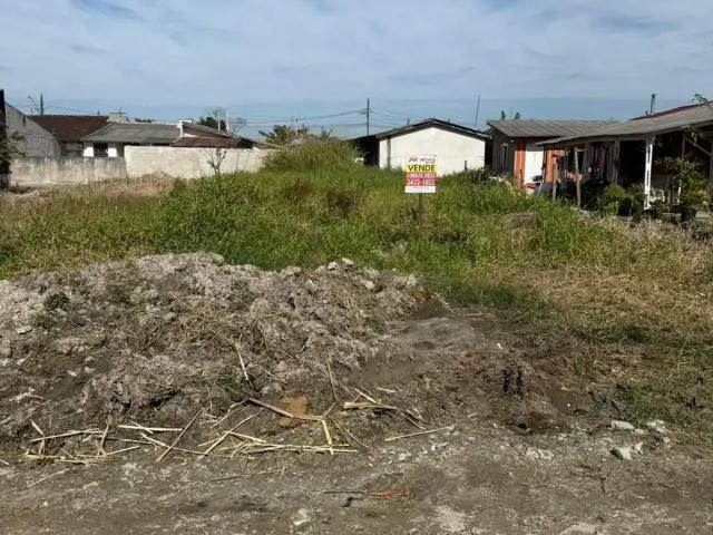 Terreno venda em Região Geográfica Imediata de Paranaguá, Matinhos