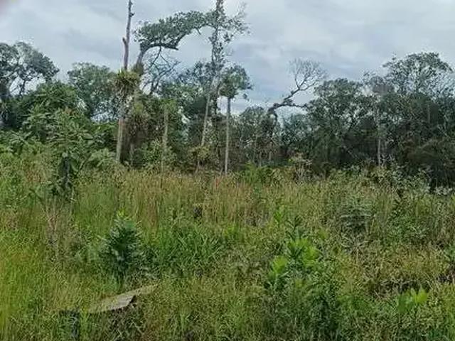 Terreno venda em Região Geográfica Imediata de Paranaguá, Matinhos