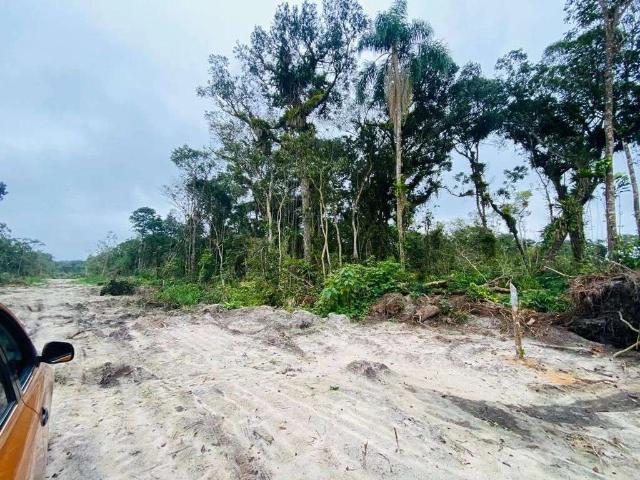 Terreno venda em Balneário Solymar, Matinhos