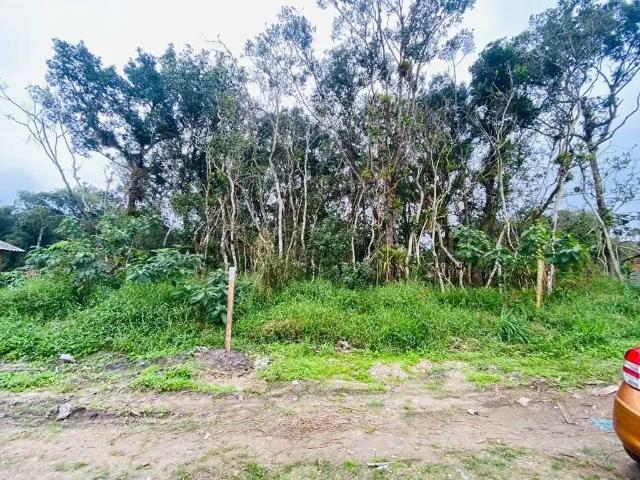 Terreno venda em Região Imediata de Santos, Região Metropolitana da Baixada Santista