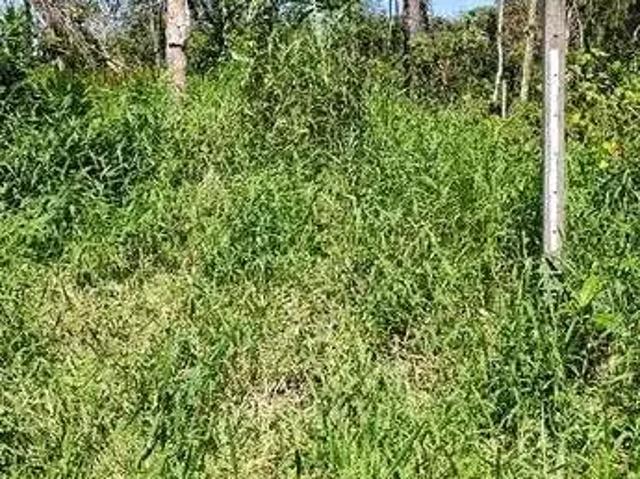 Terreno venda em Região Geográfica Imediata de Paranaguá, Matinhos