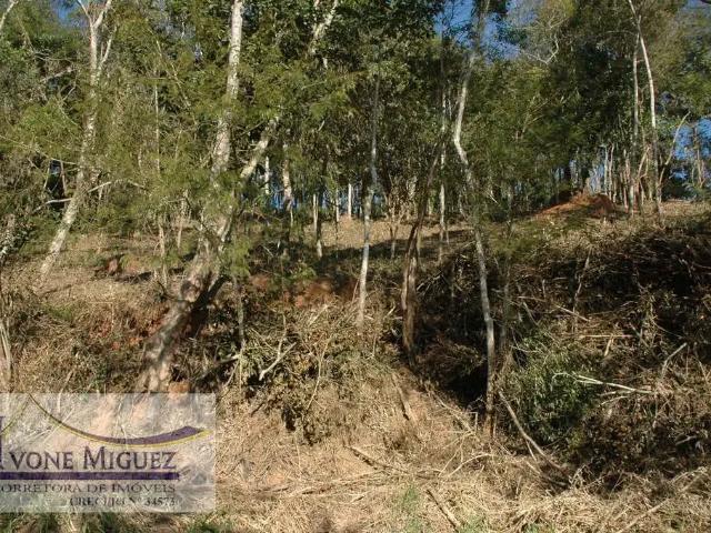 Terreno venda em Miguel Pereira, Região Geográfica Intermediária de Volta Redonda-Barra Mansa