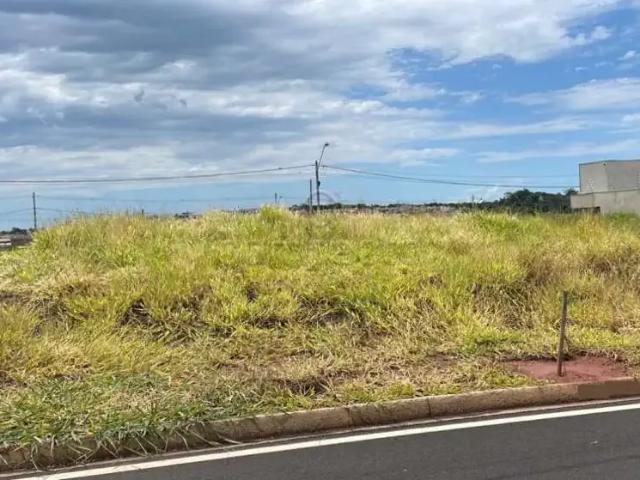 Terreno venda em Mirassol, Região Geográfica Intermediária de São José do Rio Preto