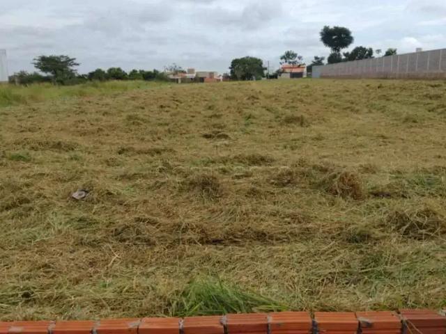 Terreno venda em Mirassol, Região Geográfica Intermediária de São José do Rio Preto
