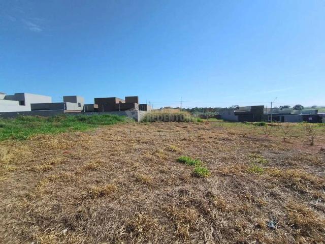 Terreno venda em Mirassol, Região Geográfica Intermediária de São José do Rio Preto