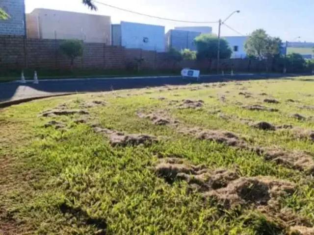 Terreno venda em Região Imediata de São José do Rio Preto, Região Metropolitana de São José do Rio Preto