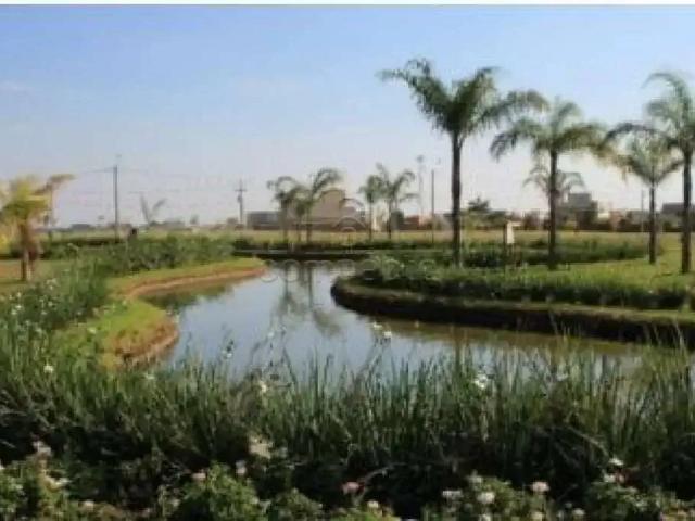 Terreno venda em Mirassol, Região Geográfica Intermediária de São José do Rio Preto