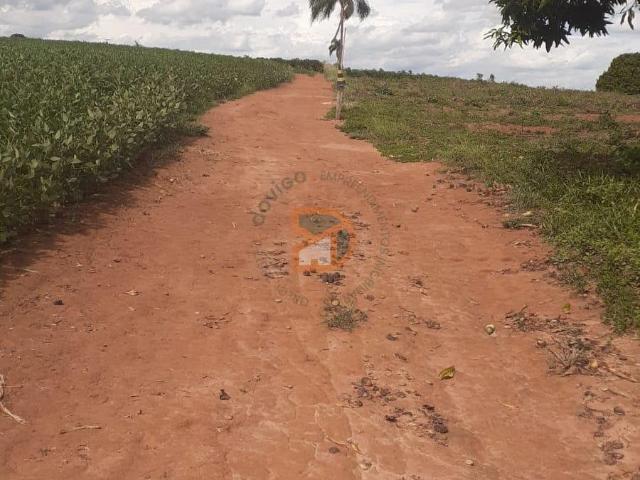 Terreno venda em Mogi Mirim